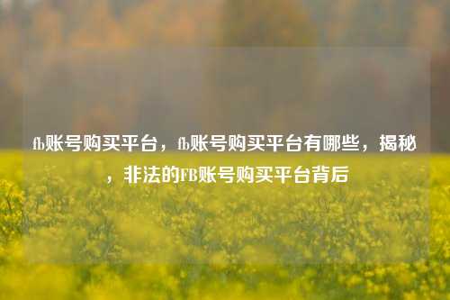fb账号购买平台，fb账号购买平台有哪些，揭秘，非法的FB账号购买平台背后