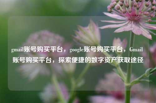 gmail账号购买平台，google账号购买平台，Gmail 账号购买平台，探索便捷的数字资产获取途径