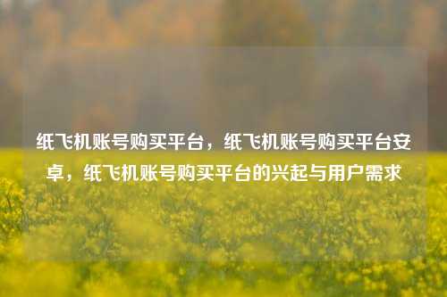 纸飞机账号购买平台，纸飞机账号购买平台安卓，纸飞机账号购买平台的兴起与用户需求