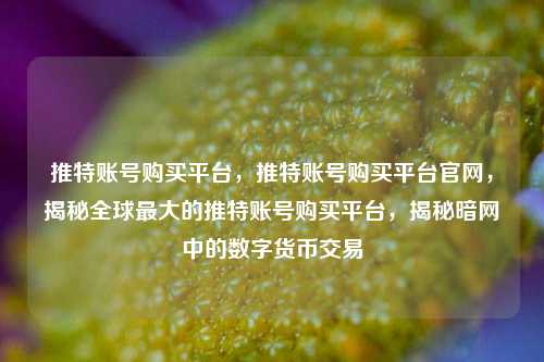 推特账号购买平台，推特账号购买平台官网，揭秘全球最大的推特账号购买平台，揭秘暗网中的数字货币交易