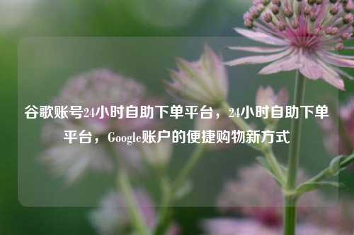谷歌账号24小时自助下单平台，24小时自助下单平台，Google账户的便捷购物新方式