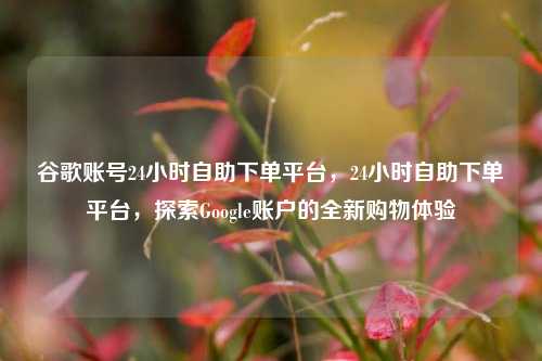 谷歌账号24小时自助下单平台，24小时自助下单平台，探索Google账户的全新购物体验