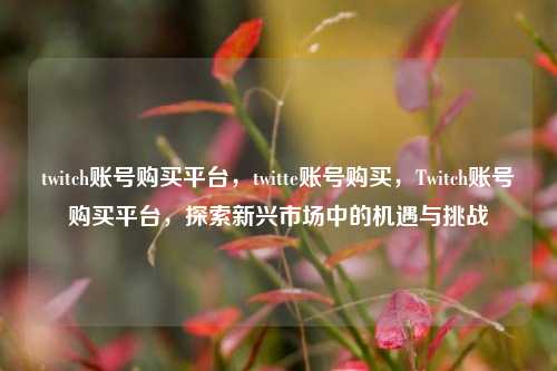 twitch账号购买平台，twitte账号购买，Twitch账号购买平台，探索新兴市场中的机遇与挑战