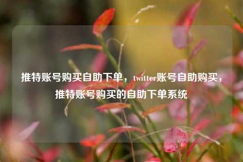 推特账号购买自助下单，twitter账号自助购买，推特账号购买的自助下单系统