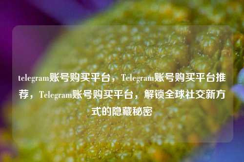 telegram账号购买平台，Telegram账号购买平台推荐，Telegram账号购买平台，解锁全球社交新方式的隐藏秘密