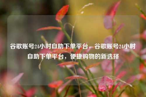 谷歌账号24小时自助下单平台，谷歌账号24小时自助下单平台，便捷购物的新选择