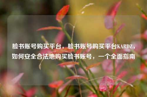 脸书账号购买平台，脸书账号购买平台KARDZ，如何安全合法地购买脸书账号，一个全面指南