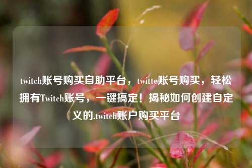 twitch账号购买自助平台，twitte账号购买，轻松拥有Twitch账号，一键搞定！揭秘如何创建自定义的.twitch账户购买平台