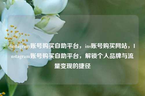 instagram账号购买自助平台，ins账号购买网站，Instagram账号购买自助平台，解锁个人品牌与流量变现的捷径