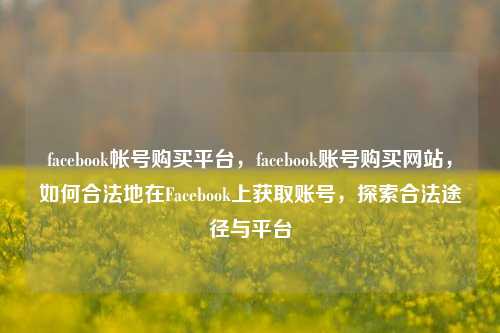 facebook帐号购买平台，facebook账号购买网站，如何合法地在Facebook上获取账号，探索合法途径与平台