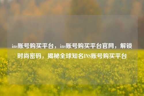 ins账号购买平台，ins账号购买平台官网，解锁时尚密码，揭秘全球知名INS账号购买平台