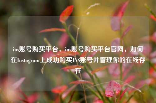 ins账号购买平台，ins账号购买平台官网，如何在Instagram上成功购买INS账号并管理你的在线存在
