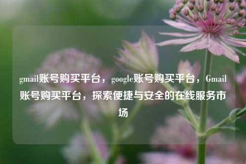 gmail账号购买平台，google账号购买平台，Gmail账号购买平台，探索便捷与安全的在线服务市场