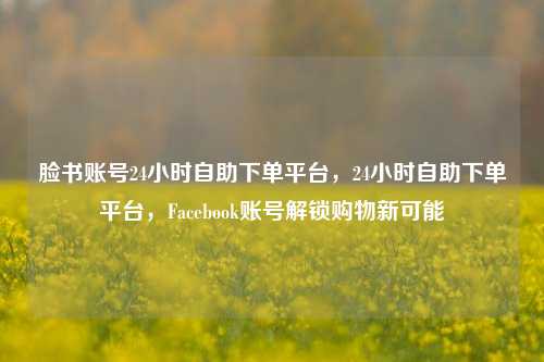 脸书账号24小时自助下单平台，24小时自助下单平台，Facebook账号解锁购物新可能