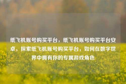 纸飞机账号购买平台，纸飞机账号购买平台安卓，探索纸飞机账号购买平台，如何在数字世界中拥有你的专属游戏角色