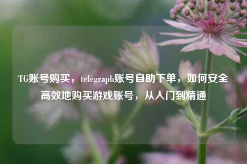 TG账号购买，telegraph账号自助下单，如何安全高效地购买游戏账号，从入门到精通
