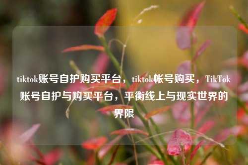 tiktok账号自护购买平台，tiktok帐号购买，TikTok账号自护与购买平台，平衡线上与现实世界的界限