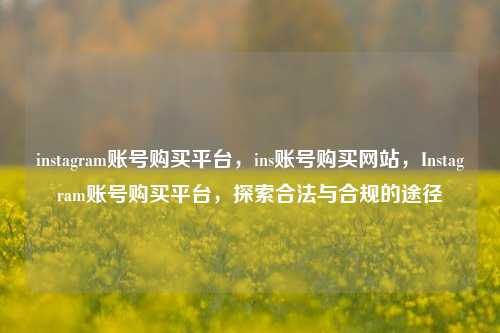 instagram账号购买平台，ins账号购买网站，Instagram账号购买平台，探索合法与合规的途径