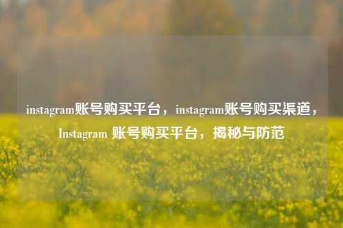 instagram账号购买平台，instagram账号购买渠道，Instagram 账号购买平台，揭秘与防范