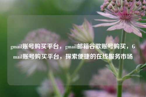 gmail账号购买平台，gmail邮箱谷歌账号购买，Gmail账号购买平台，探索便捷的在线服务市场
