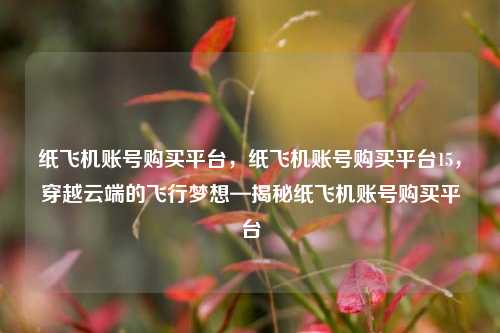 纸飞机账号购买平台，纸飞机账号购买平台15，穿越云端的飞行梦想—揭秘纸飞机账号购买平台