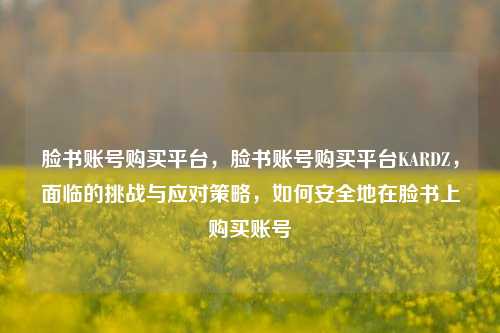 脸书账号购买平台，脸书账号购买平台KARDZ，面临的挑战与应对策略，如何安全地在脸书上购买账号