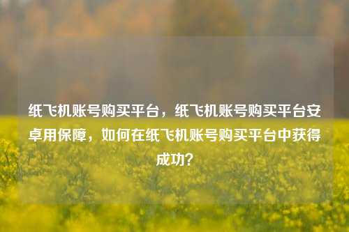纸飞机账号购买平台，纸飞机账号购买平台安卓用保障，如何在纸飞机账号购买平台中获得成功？