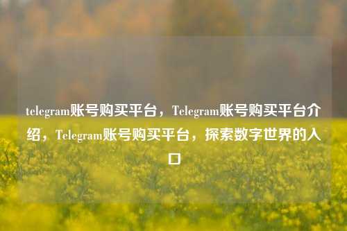 telegram账号购买平台，Telegram账号购买平台介绍，Telegram账号购买平台，探索数字世界的入口