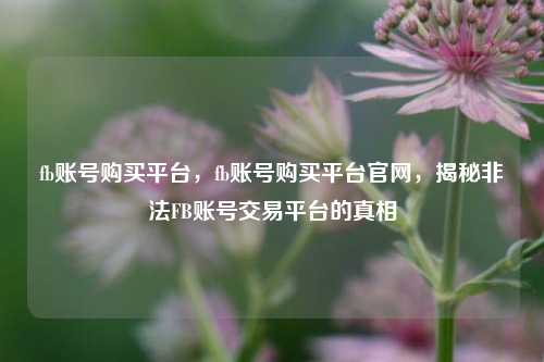 fb账号购买平台，fb账号购买平台官网，揭秘非法FB账号交易平台的真相