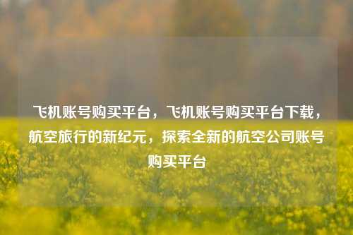 飞机账号购买平台，飞机账号购买平台下载，航空旅行的新纪元，探索全新的航空公司账号购买平台