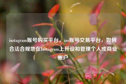instagram账号购买平台，ins账号交易平台，如何合法合规地在Instagram上开设和管理个人或商业账户