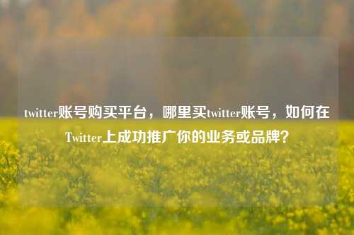 twitter账号购买平台，哪里买twitter账号，如何在Twitter上成功推广你的业务或品牌？  第1张