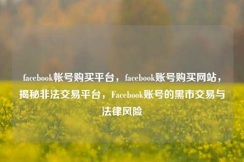 facebook帐号购买平台，facebook账号购买网站，揭秘非法交易平台，Facebook账号的黑市交易与法律风险