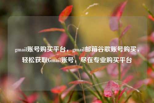 gmail账号购买平台，gmail邮箱谷歌账号购买，轻松获取Gmail账号，尽在专业购买平台