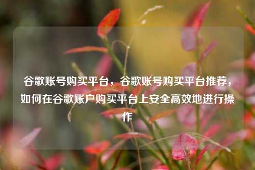 谷歌账号购买平台，谷歌账号购买平台推荐，如何在谷歌账户购买平台上安全高效地进行操作