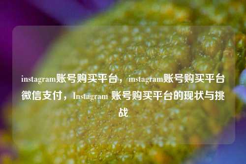 instagram账号购买平台，instagram账号购买平台微信支付	，Instagram 账号购买平台的现状与挑战  第1张