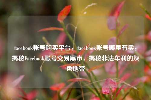 facebook帐号购买平台，facebook账号哪里有卖，揭秘Facebook账号交易黑市，揭秘非法牟利的灰色地带