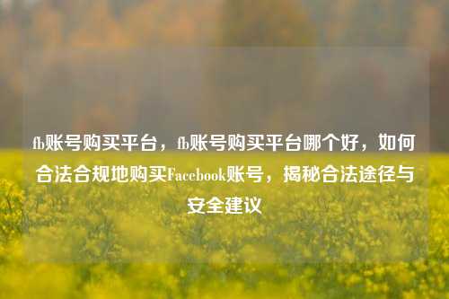 fb账号购买平台，fb账号购买平台哪个好，如何合法合规地购买Facebook账号，揭秘合法途径与安全建议