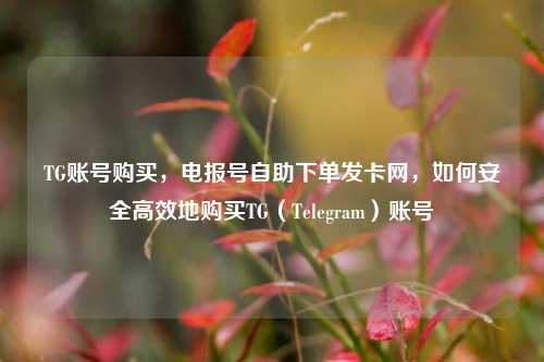 TG账号购买，电报号自助下单发卡网，如何安全高效地购买TG（Telegram）账号