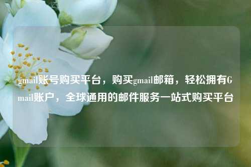 gmail账号购买平台	，购买gmail邮箱，轻松拥有Gmail账户，全球通用的邮件服务一站式购买平台  第1张