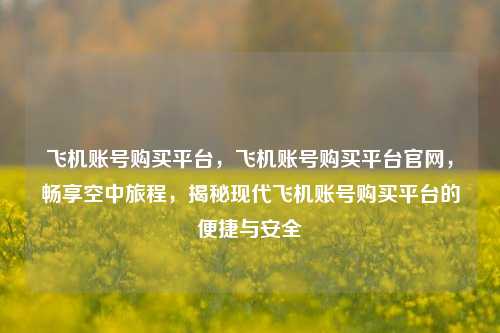 飞机账号购买平台，飞机账号购买平台官网，畅享空中旅程，揭秘现代飞机账号购买平台的便捷与安全