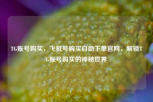 TG账号购买，飞机号购买自助下单官网，解锁TG账号购买的神秘世界