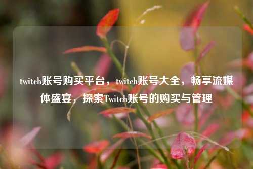 twitch账号购买平台，twitch账号大全，畅享流媒体盛宴，探索Twitch账号的购买与管理