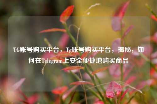 TG账号购买平台，Tg账号购买平台，揭秘，如何在Telegram上安全便捷地购买商品