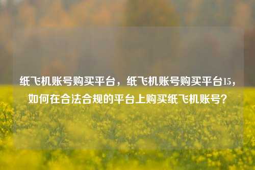 纸飞机账号购买平台，纸飞机账号购买平台15，如何在合法合规的平台上购买纸飞机账号？