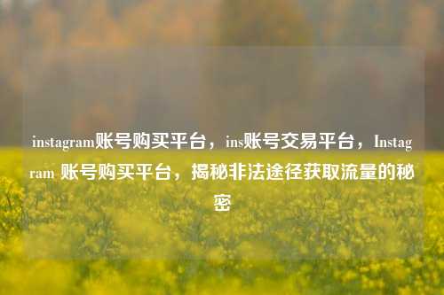 instagram账号购买平台，ins账号交易平台，Instagram 账号购买平台，揭秘非法途径获取流量的秘密
