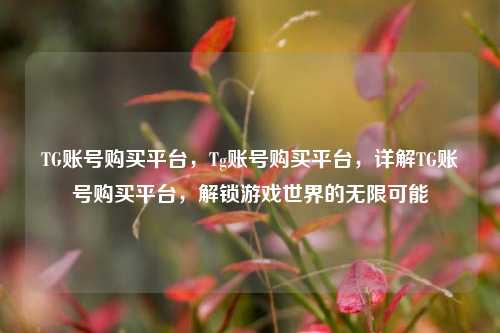TG账号购买平台，Tg账号购买平台，详解TG账号购买平台，解锁游戏世界的无限可能