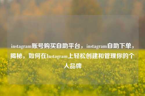 instagram账号购买自助平台，instagram自助下单，揭秘，如何在Instagram上轻松创建和管理你的个人品牌