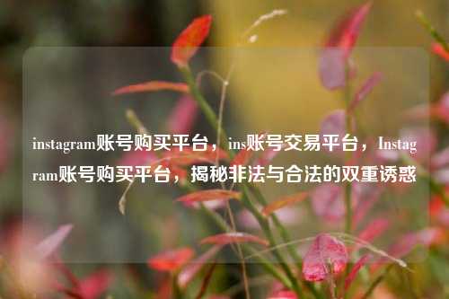 instagram账号购买平台，ins账号交易平台，Instagram账号购买平台，揭秘非法与合法的双重诱惑