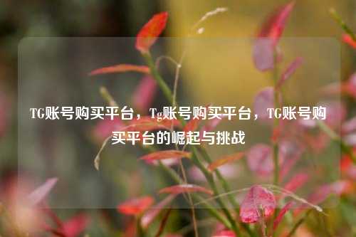 TG账号购买平台，Tg账号购买平台，TG账号购买平台的崛起与挑战